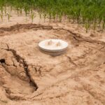 Técnicas de impermeabilização