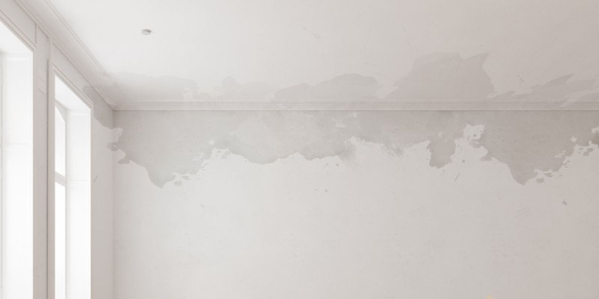 como resolver problema de umidade na parede