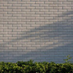 Parede de tijolos brancos com grama