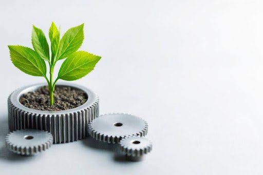 Planta florescendo dentro de uma ferramenta com terra